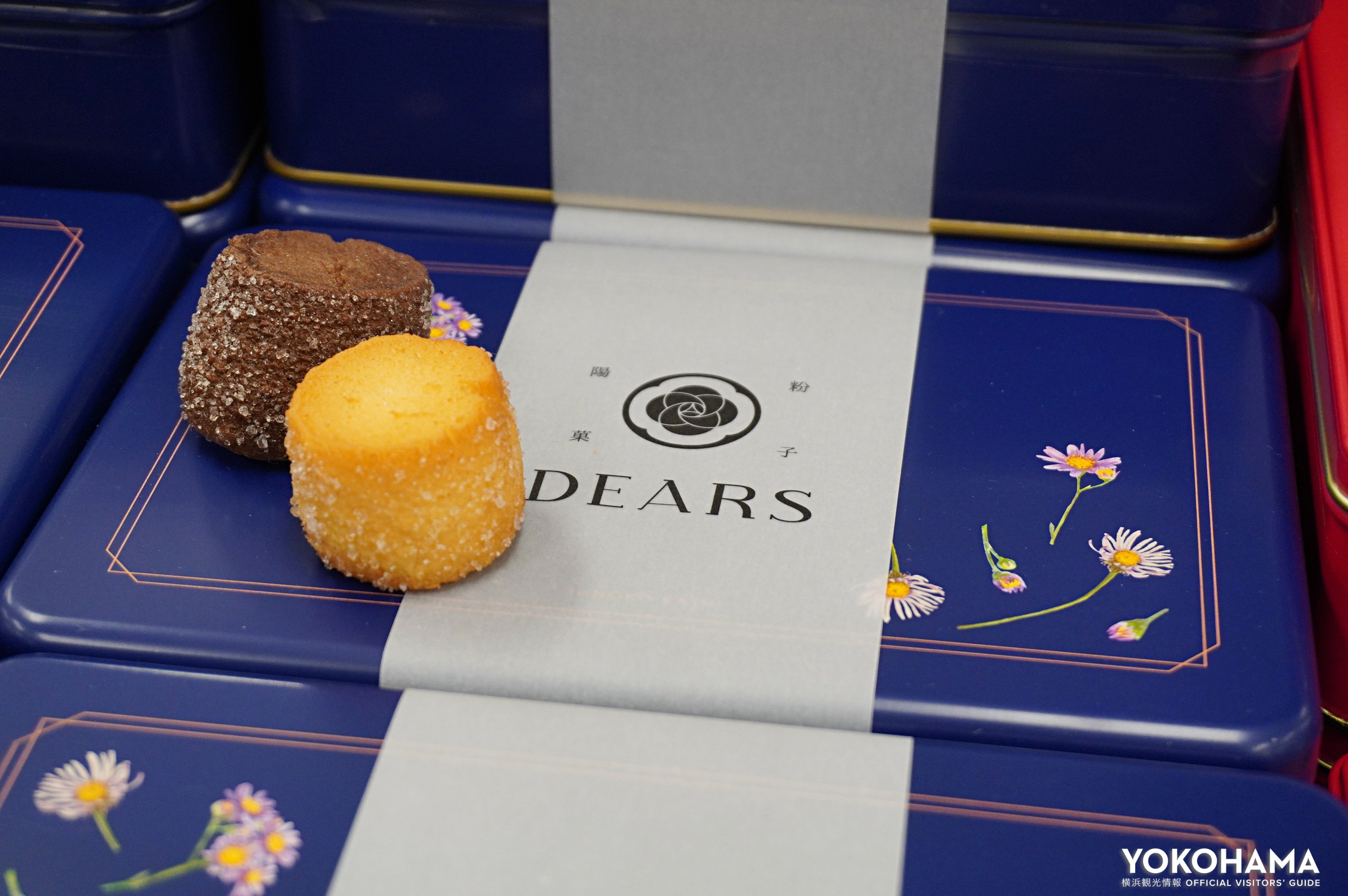 「カカオシック・ディアーズ」のクッキー缶