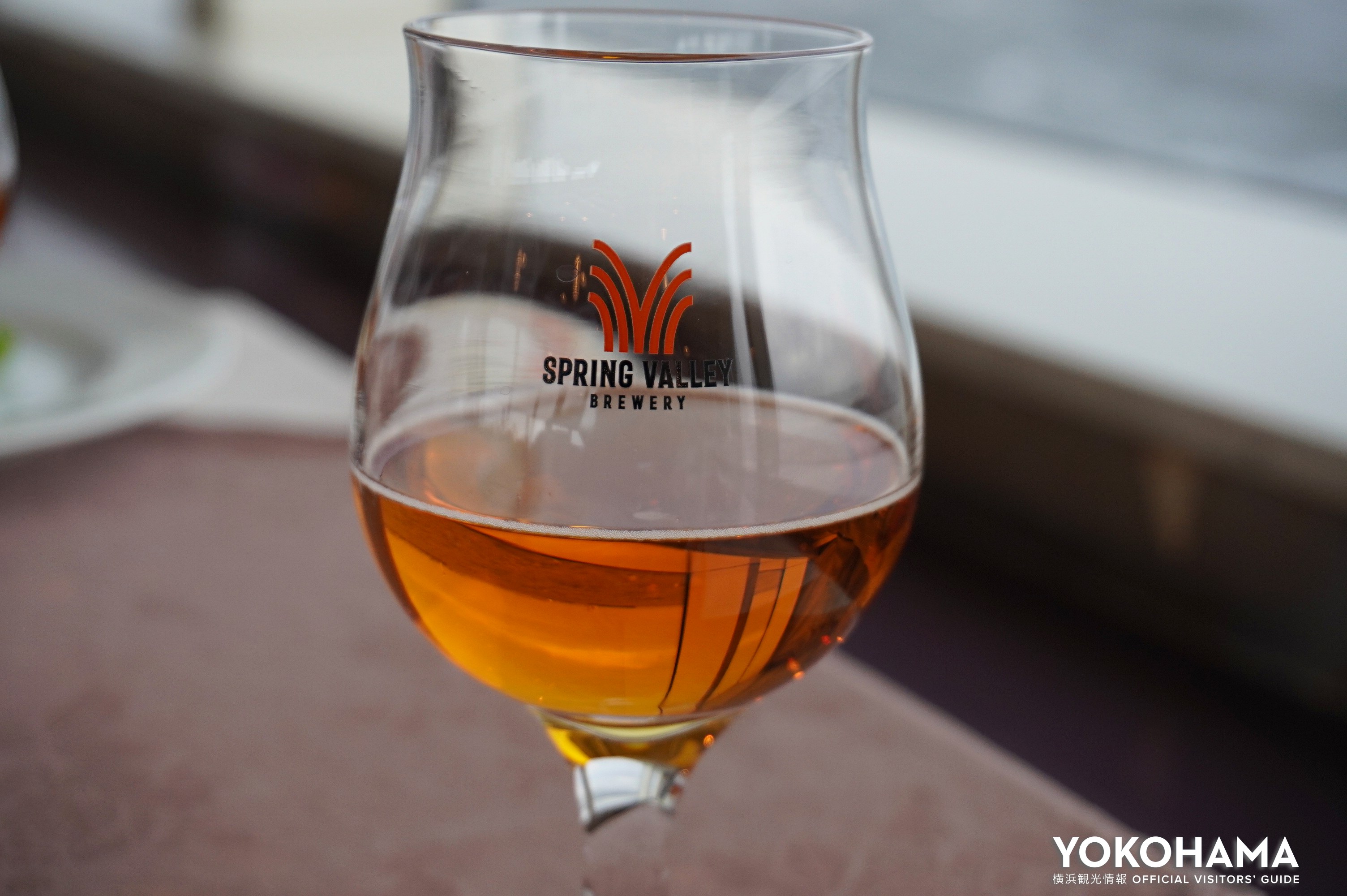 麦の旨味や上質な苦みが特徴の『豊潤ラガー 496』