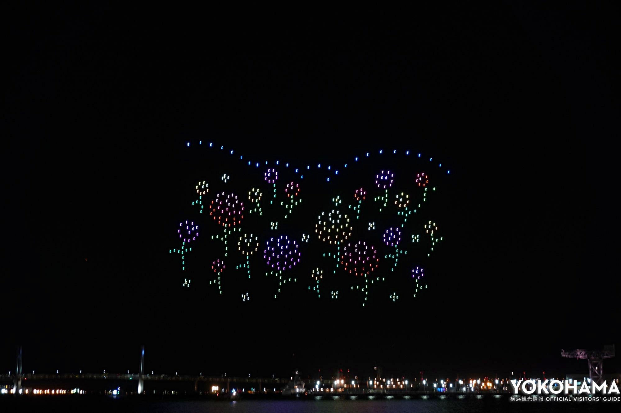 可愛らしい小さな花々