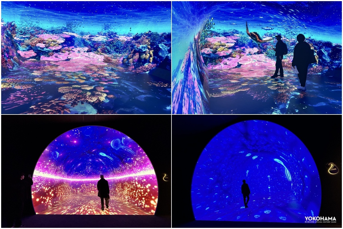 圧倒的な臨場感が魅力のワンダリア