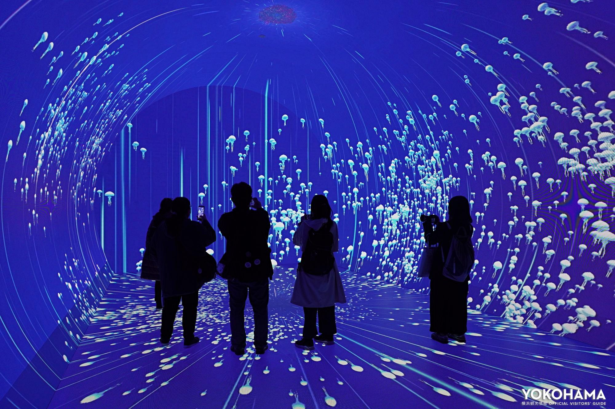 ゾーン2「ダイブ・トゥ・ブルー」