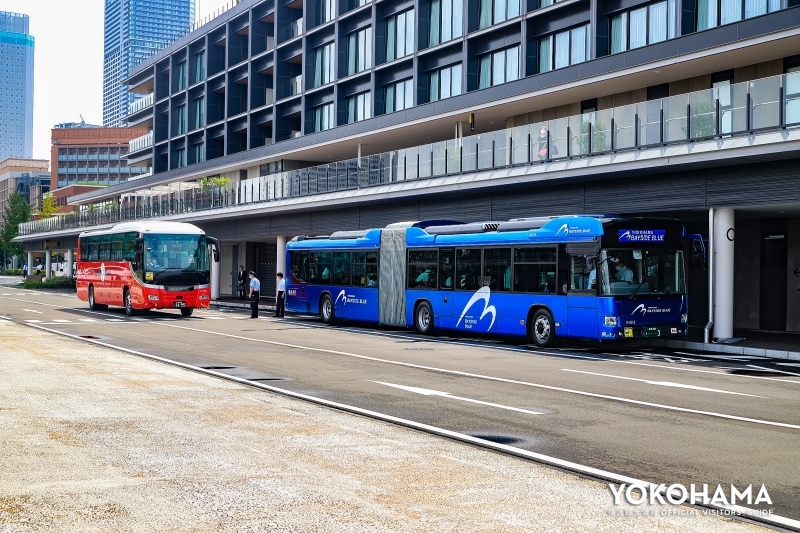 横浜市交通局の貸切バスと比較しても大きい！