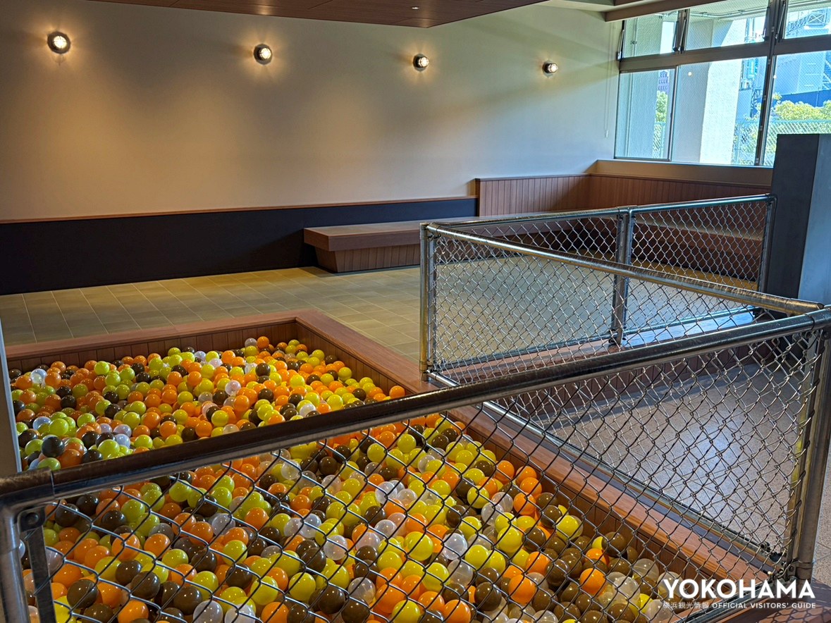 屋内ドッグラン