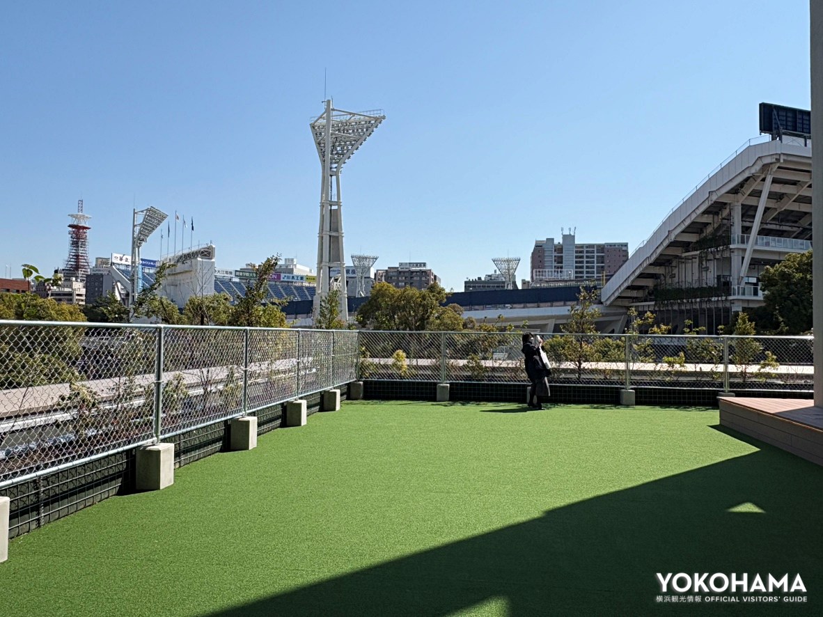 屋外ドッグランの目の前は横浜スタジアム