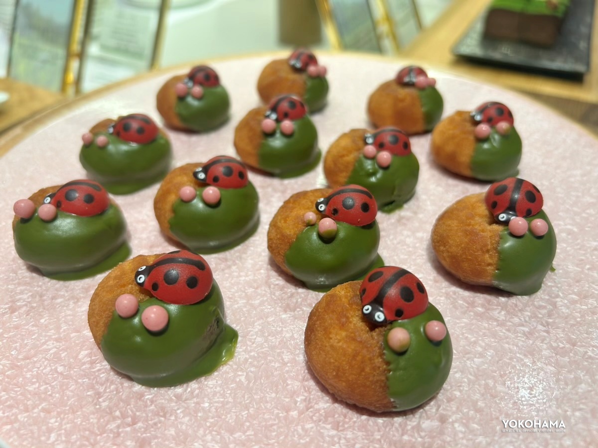 抹茶ショコラとベイクドドーナツ