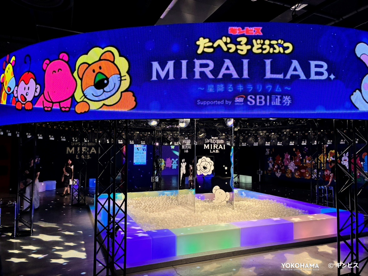 子どもはもちろん、童心にかえって大人も楽しめます