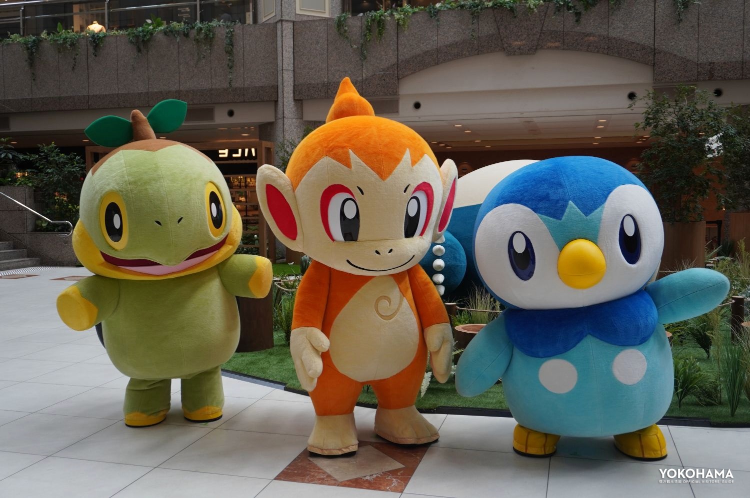 7/13(金)より『Pokémon Sleep』に新たに登場したナエトル、ヒコザル、ポッチャマが、内覧会に駆け付けてくれました