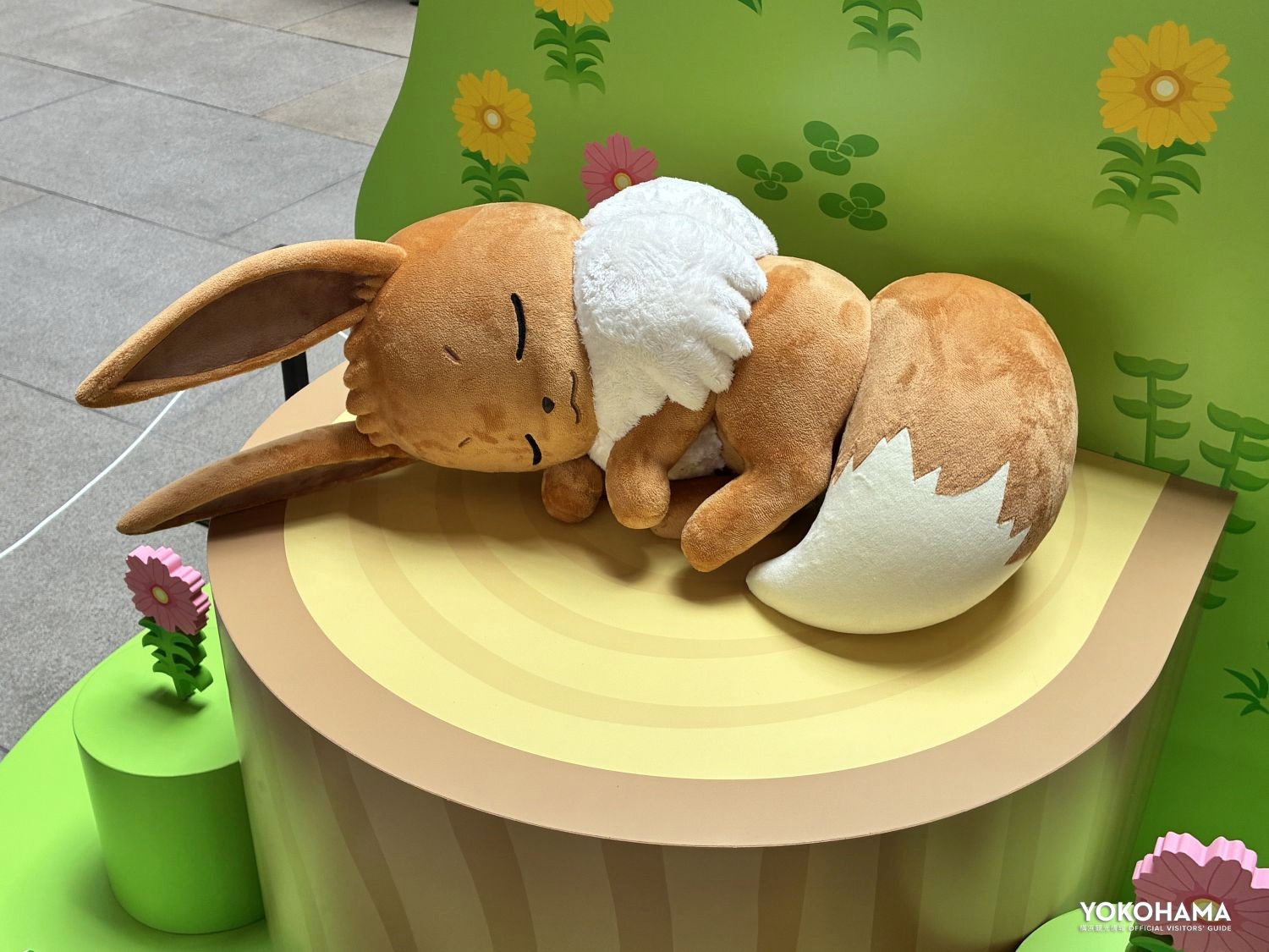 どこで出会えるかは見つけてのお楽しみ④