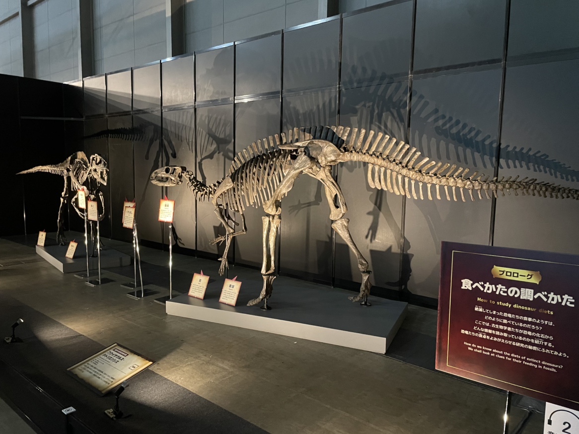 「プロローグ：食べかたの調べかた」展示風景