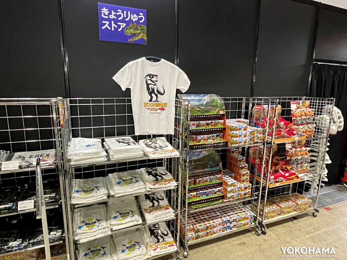 Tシャツなど普段も使えるグッズも