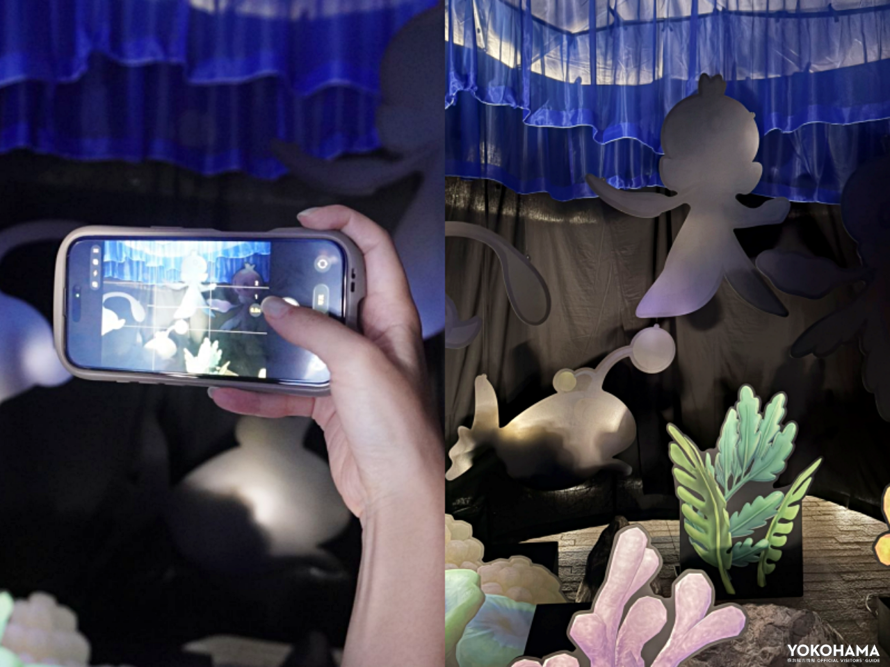 深海に潜むポケモンをスマートフォンで探します!