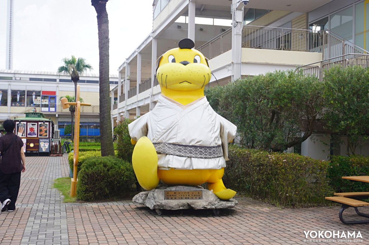 シー太くんもマツケン仕様に
