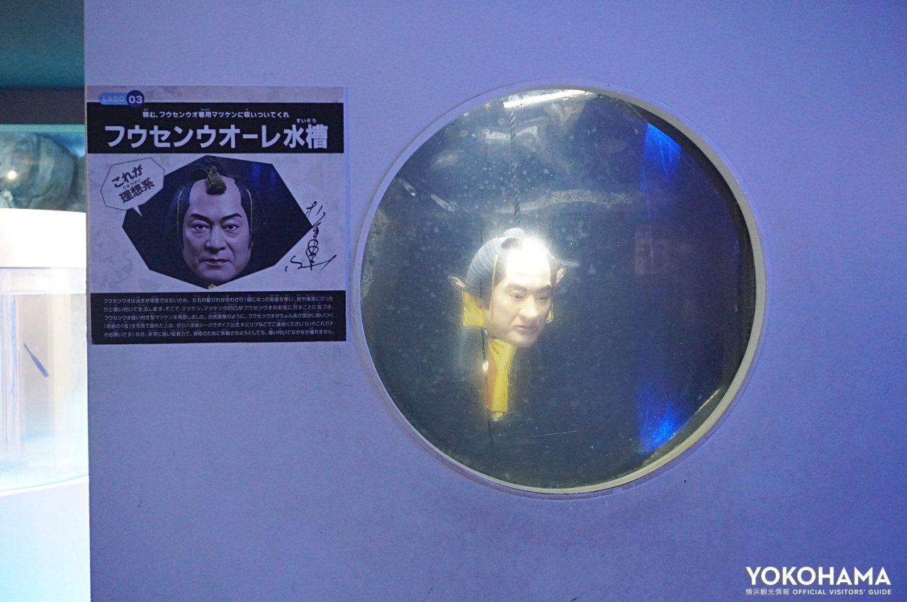 サイン付き