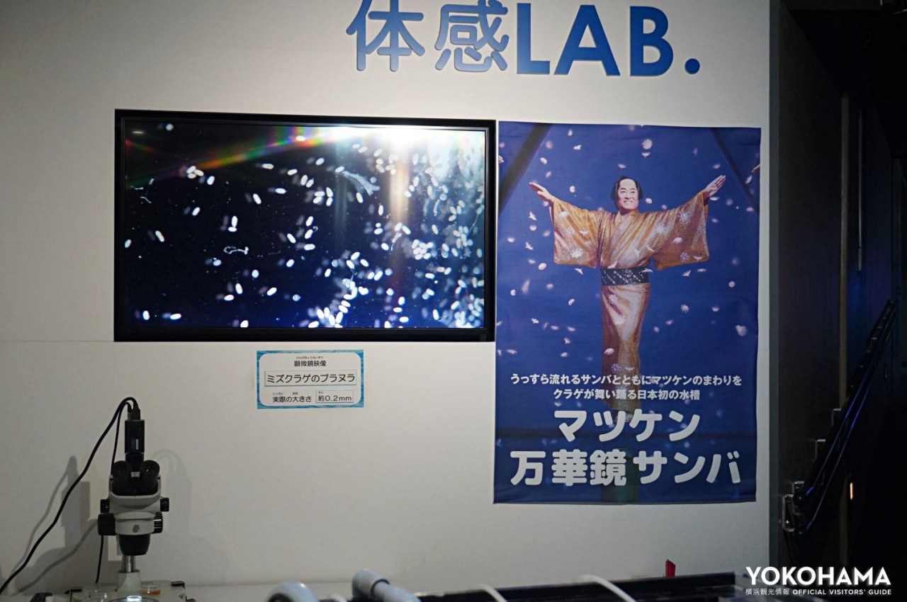 なにやらマツケンサンバⅡが聞こえてきました