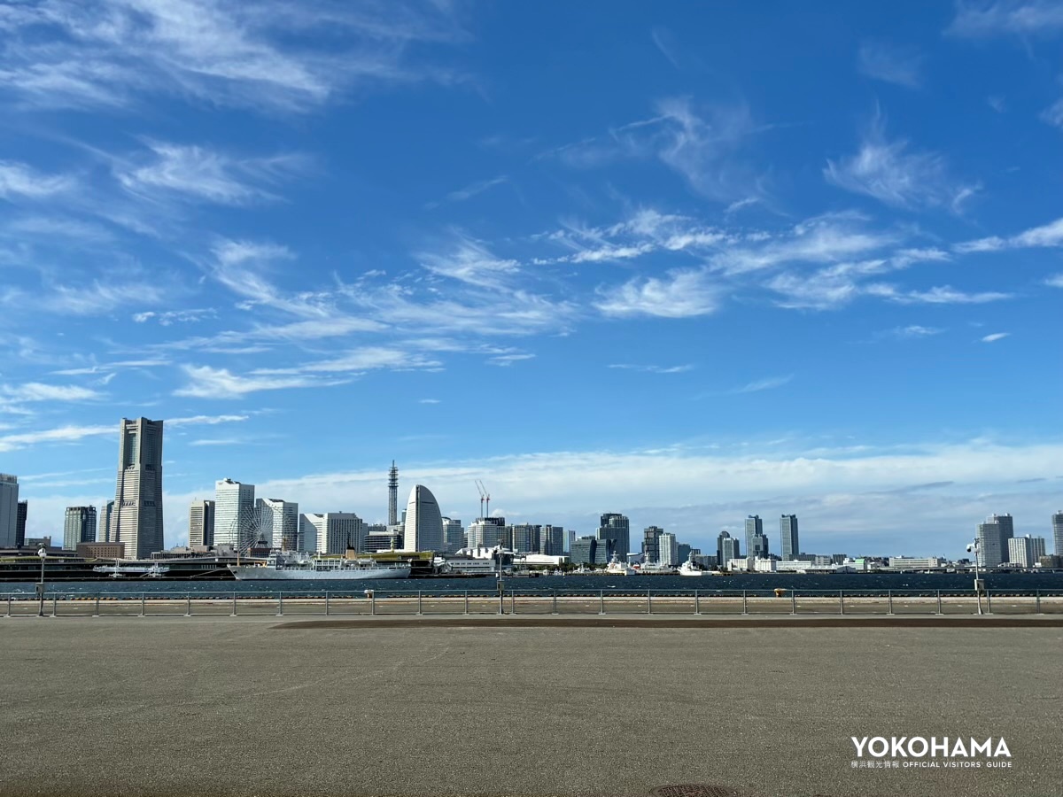 大きな車窓に広がる風景