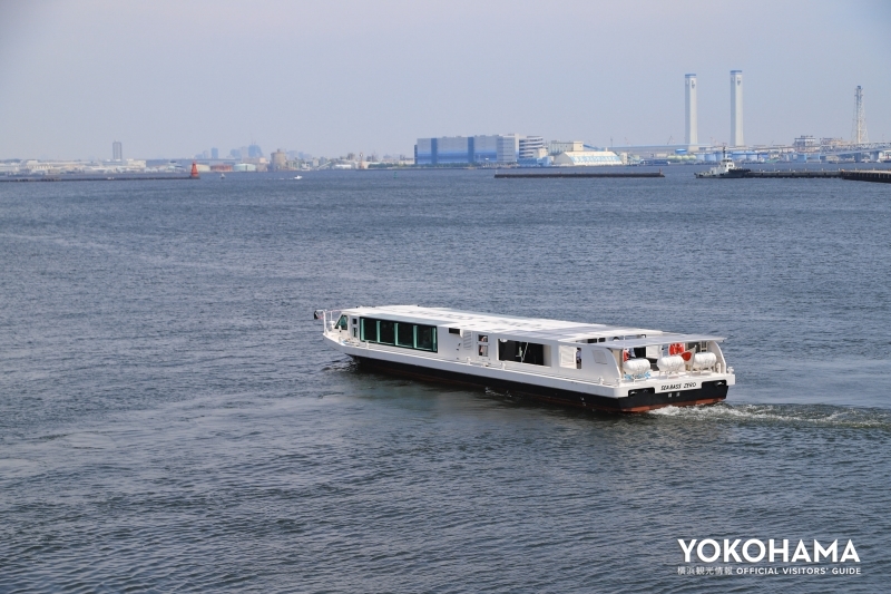 横浜港に出るシーバス ゼロ