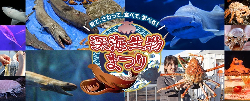見て さわって 食べて 学べる 深海生物まつり 横浜 八景島シーパラダイス 公式 横浜市観光情報サイト Yokohama Official Visitors Guide