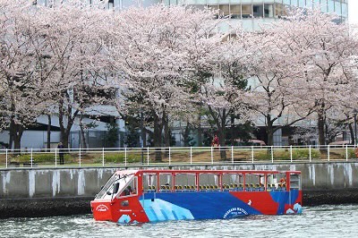 水上からお花見も！水陸両用バス スカイダック横浜「みなとハイカラコース」