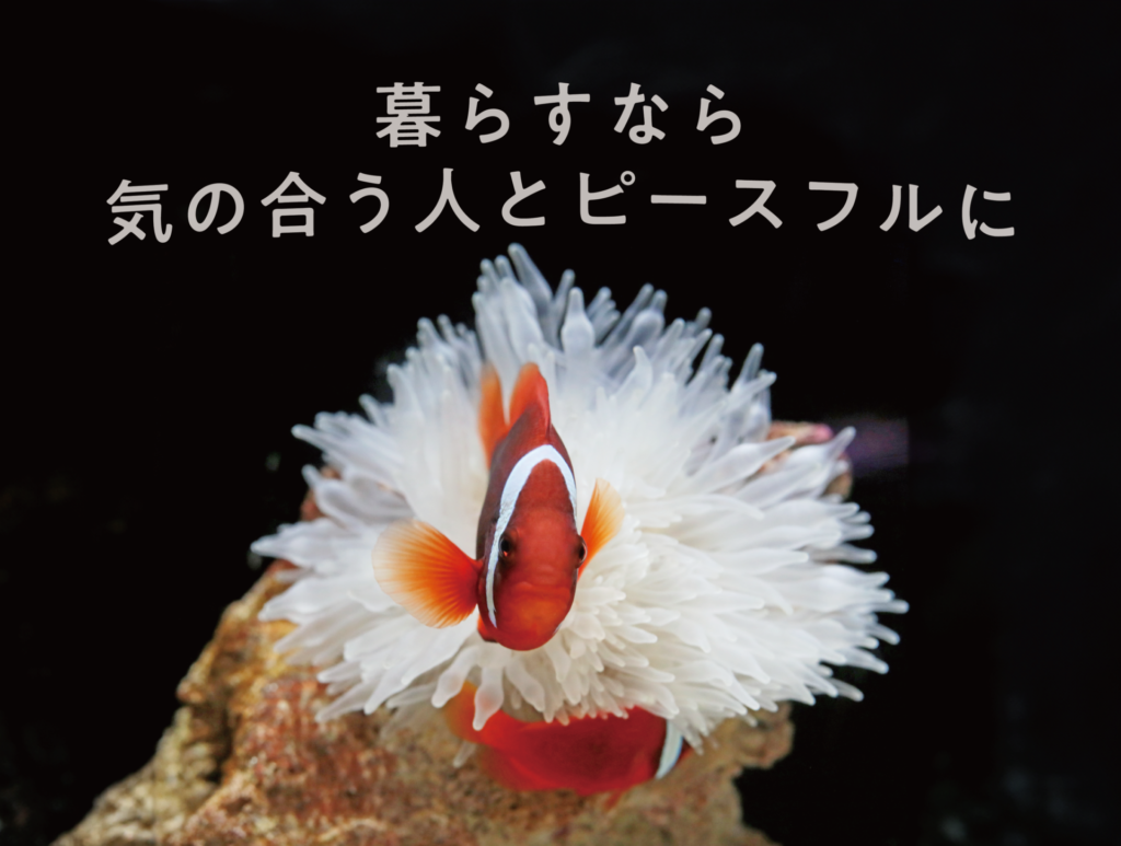 横浜開運水族館　 4/10(水)から館内の展示を一部変更＆新しいロゴでリニューアル！