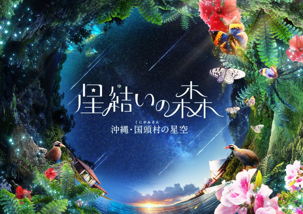プラネタリア YOKOHAMA 「星結いの森 ~沖縄・国頭村の星空~」2/28(金)から上映開始!