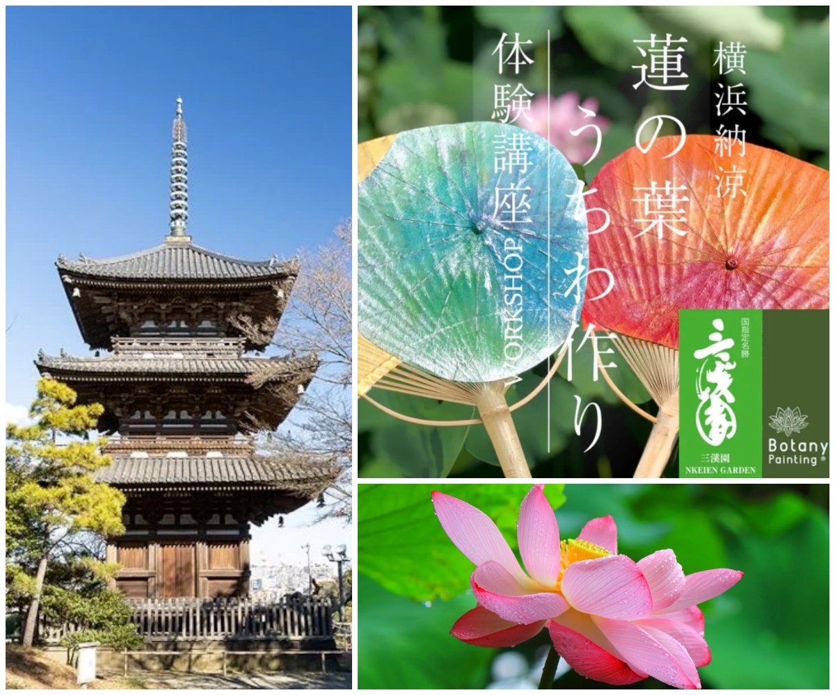三溪園のシンボル重要文化財「旧燈明寺三重塔」保存プロジェクト 7/10(木)から始動！