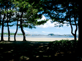 海の公園 | 横浜金沢エリアの「横浜・八景島シーパラダイス」とその周辺を巡ろう！