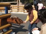 横浜市立金沢動物園 | 横浜金沢エリアの「横浜・八景島シーパラダイス」とその周辺を巡ろう！