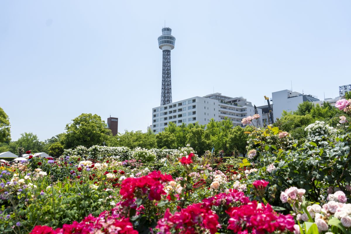 横浜マリンタワー | 映画やドラマなどの聖地！　横浜の人気のロケ地を巡ろう！