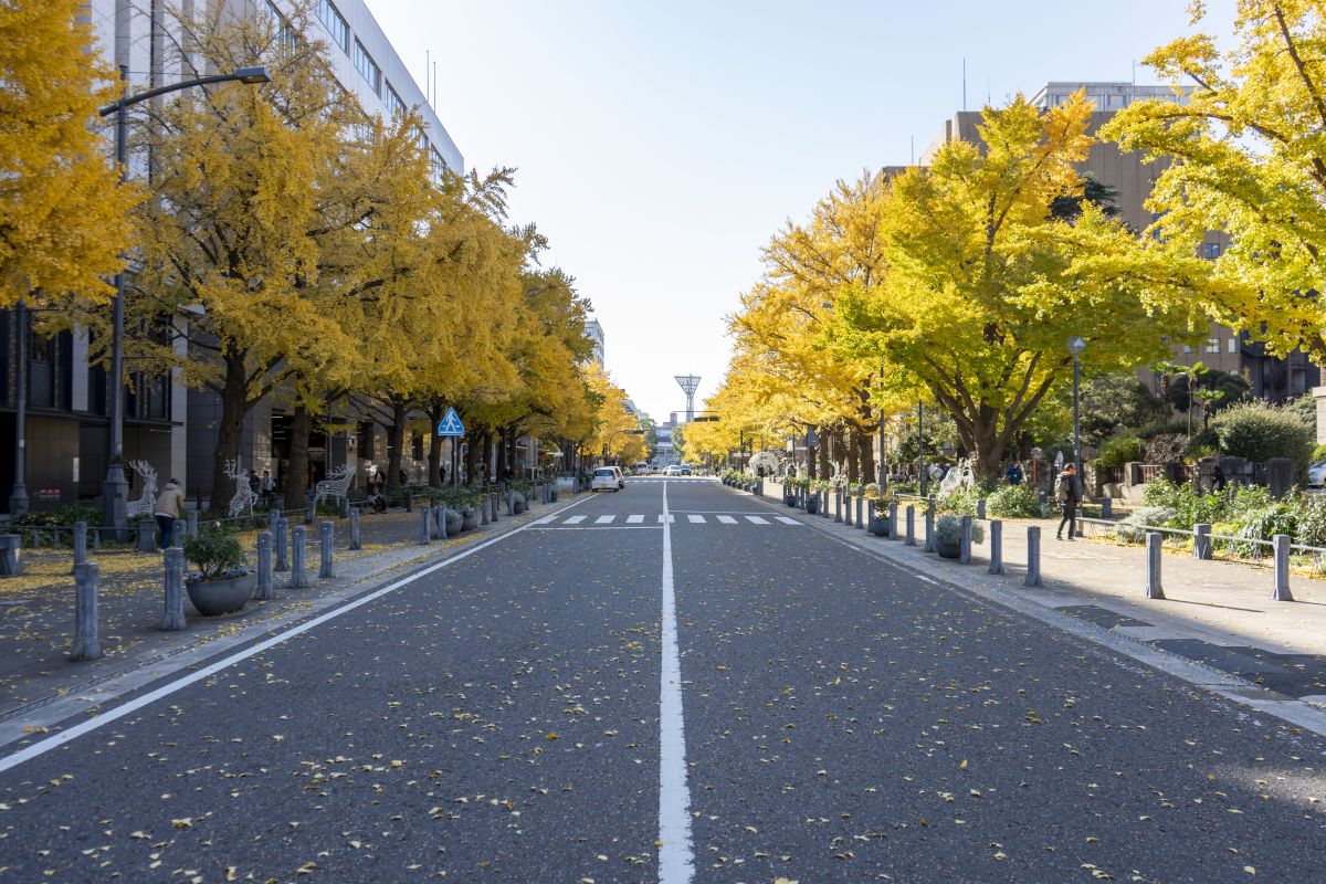 日本大通り