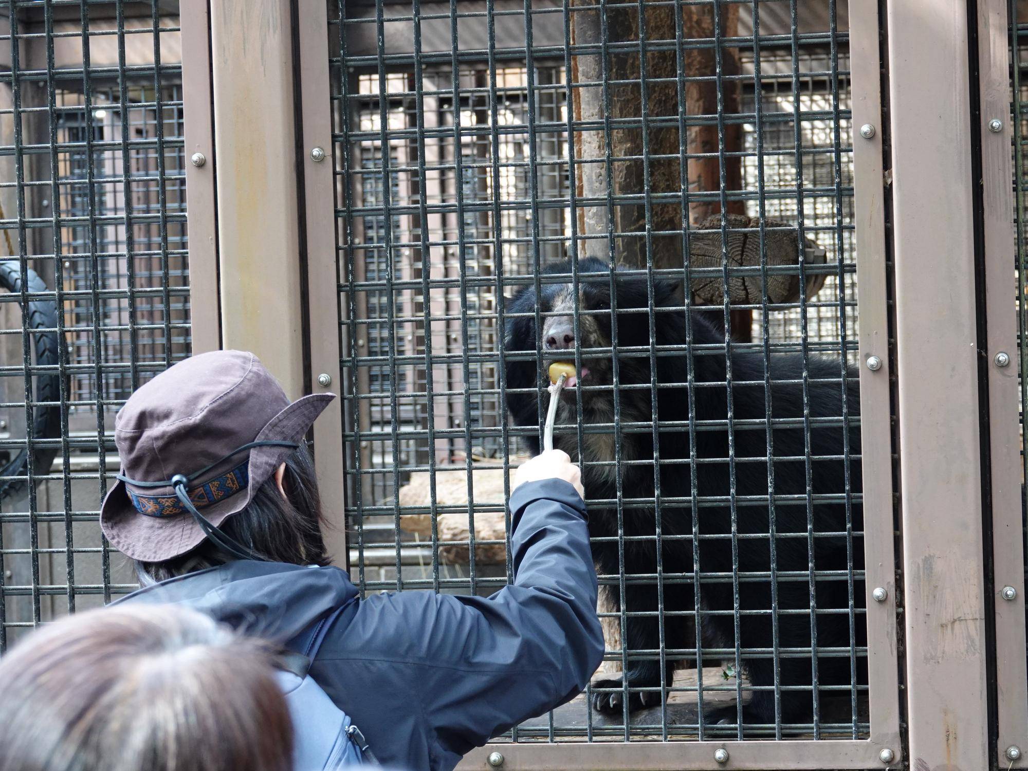 よこはま動物園 ズーラシア「冬季限定！！わくわく裏側ウォッチング」