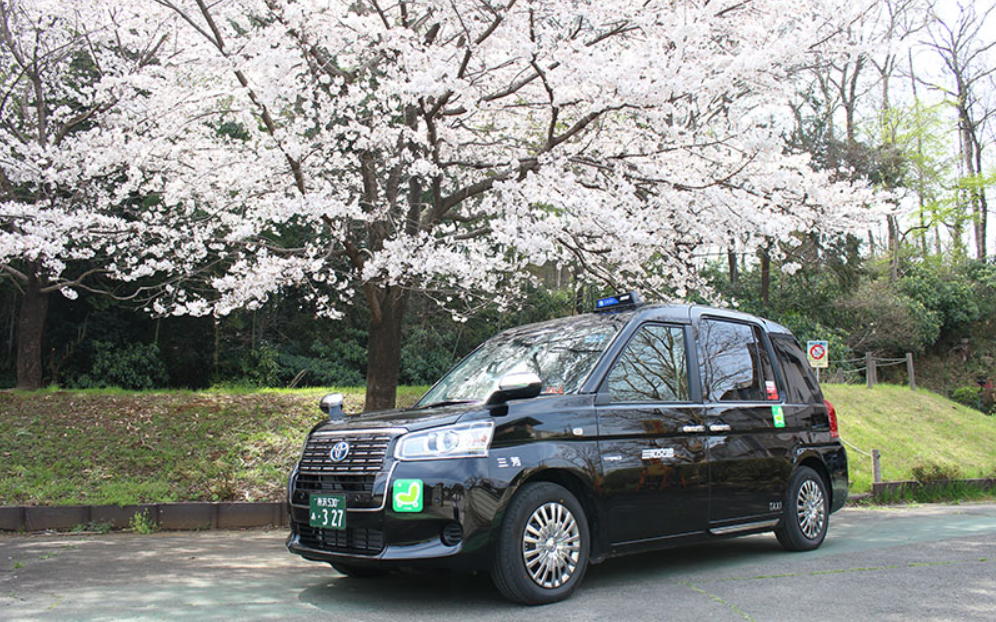 三和交通タクシー 期間限定「お花見タクシー」