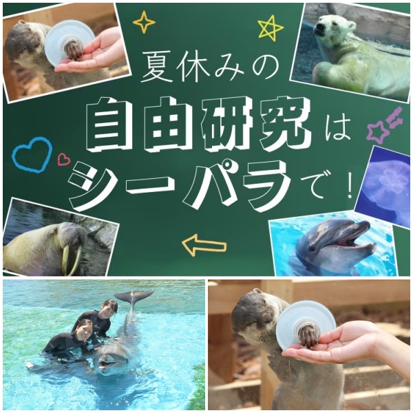横浜・八景島シーパラダイス　「夏休みの“自由研究”はシーパラで！」