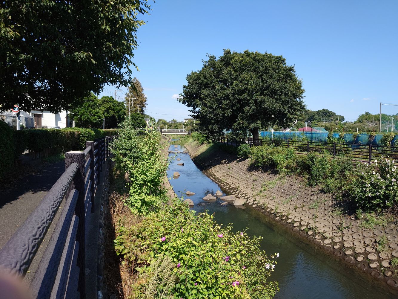 横浜シティガイド協会　まち歩き「続・ゆめが丘界隈を歩く　水と緑と古道コース」