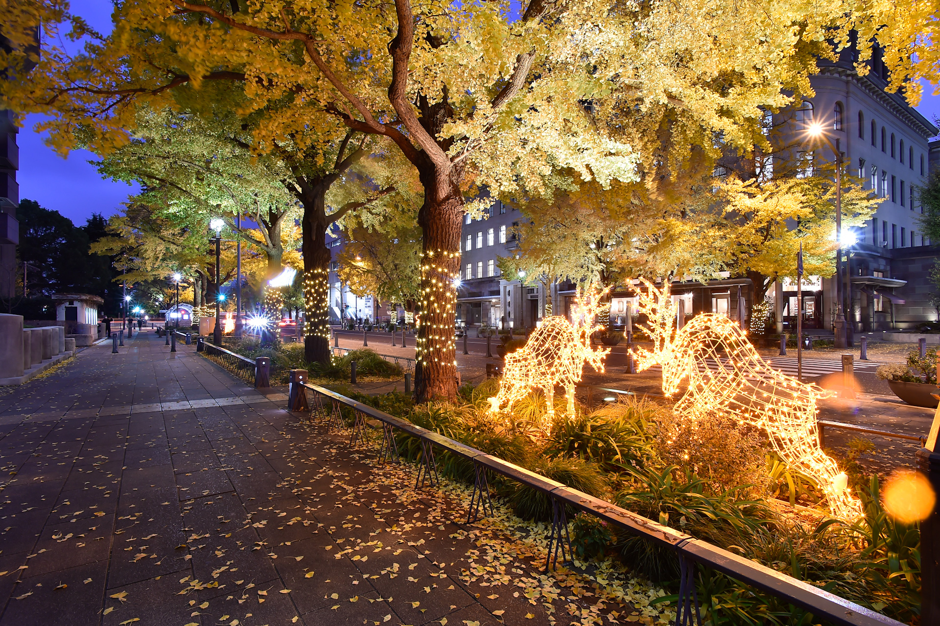 日本大通りSDGｓイルミネーション2025　＜THE YOKOHAMA ILLUMINATION 参加イベント＞