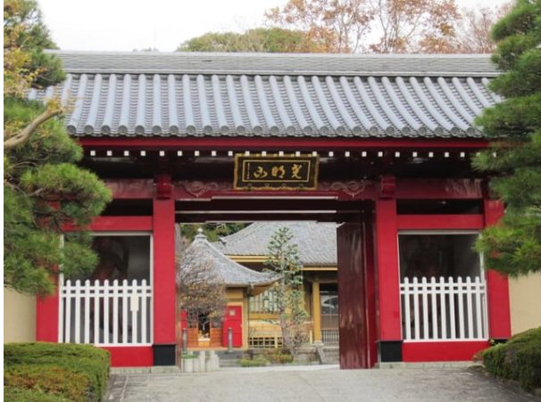 まち歩き「続・吉川英治 青少年期の苦難に満ちた生い立ち～野毛山公園の桜を眺めて～」