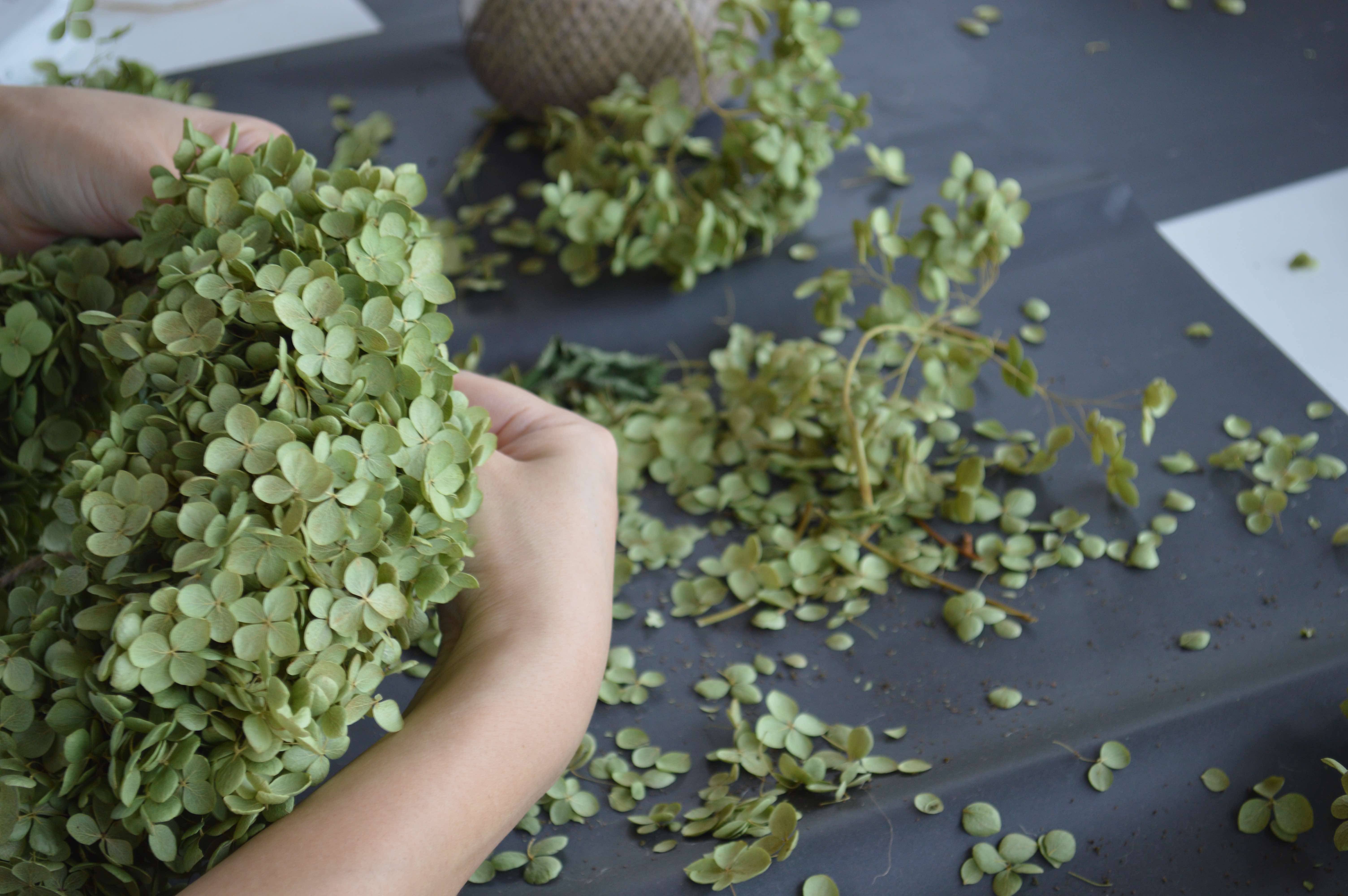ZOU-SUN-MARCHE ー好きを見つける、港のマルシェ