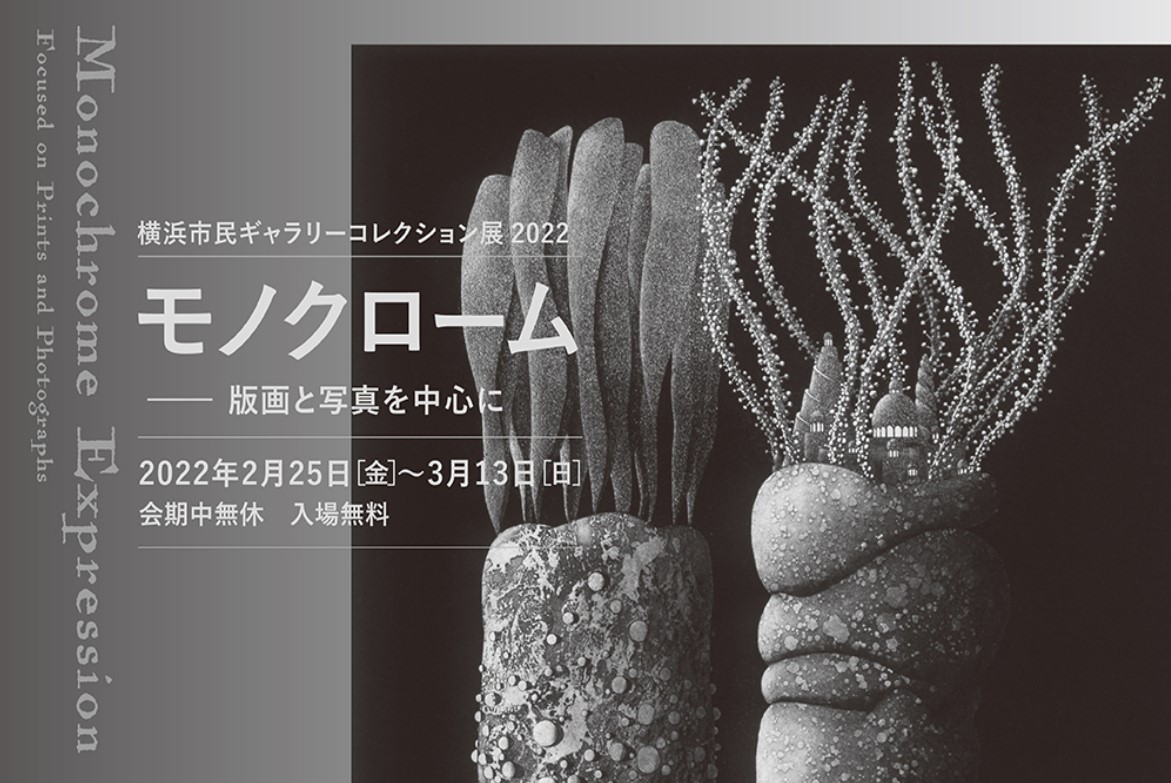 横浜市民ギャラリーコレクション展2022 モノクローム ―版画と写真を中心に