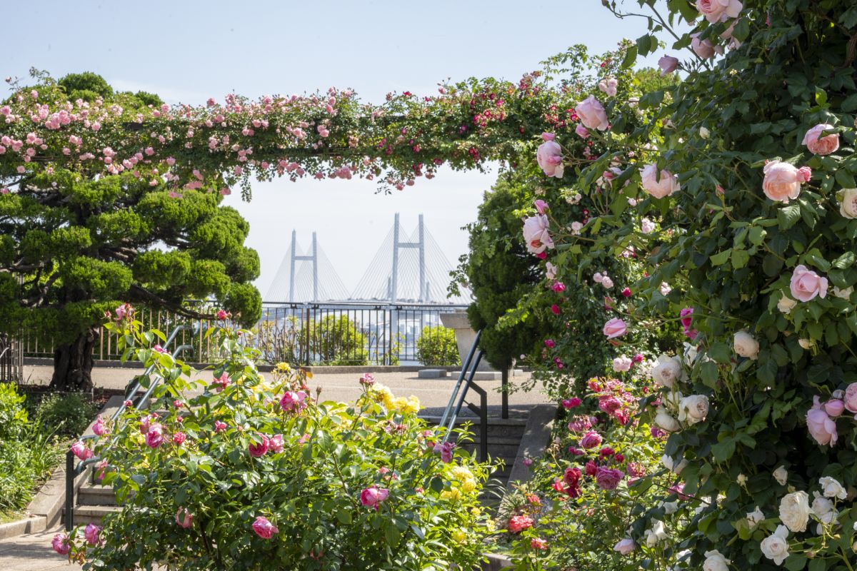 港の見える丘公園 | サブ画像1