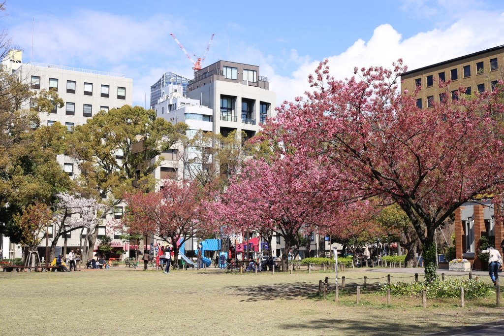 横浜公園 | サブ画像1