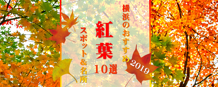 【特集】2019年 横浜の紅葉スポット&名所10選