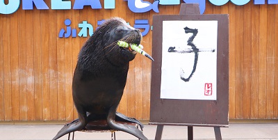 横浜 八景島シーパラダイス 新春イベント 19 年版 冬の横浜特集 クリスマス 年末年始 公式 横浜市観光情報サイト Yokohama Official Visitors Guide