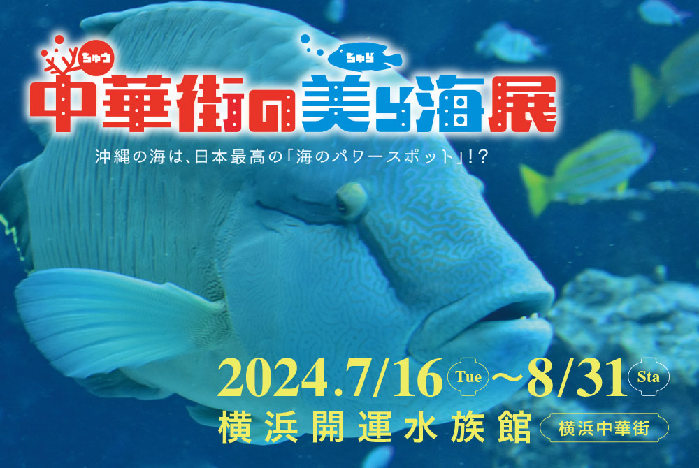 横浜開運水族館 フォーチュンアクアリウム「中華街の美ら海展」