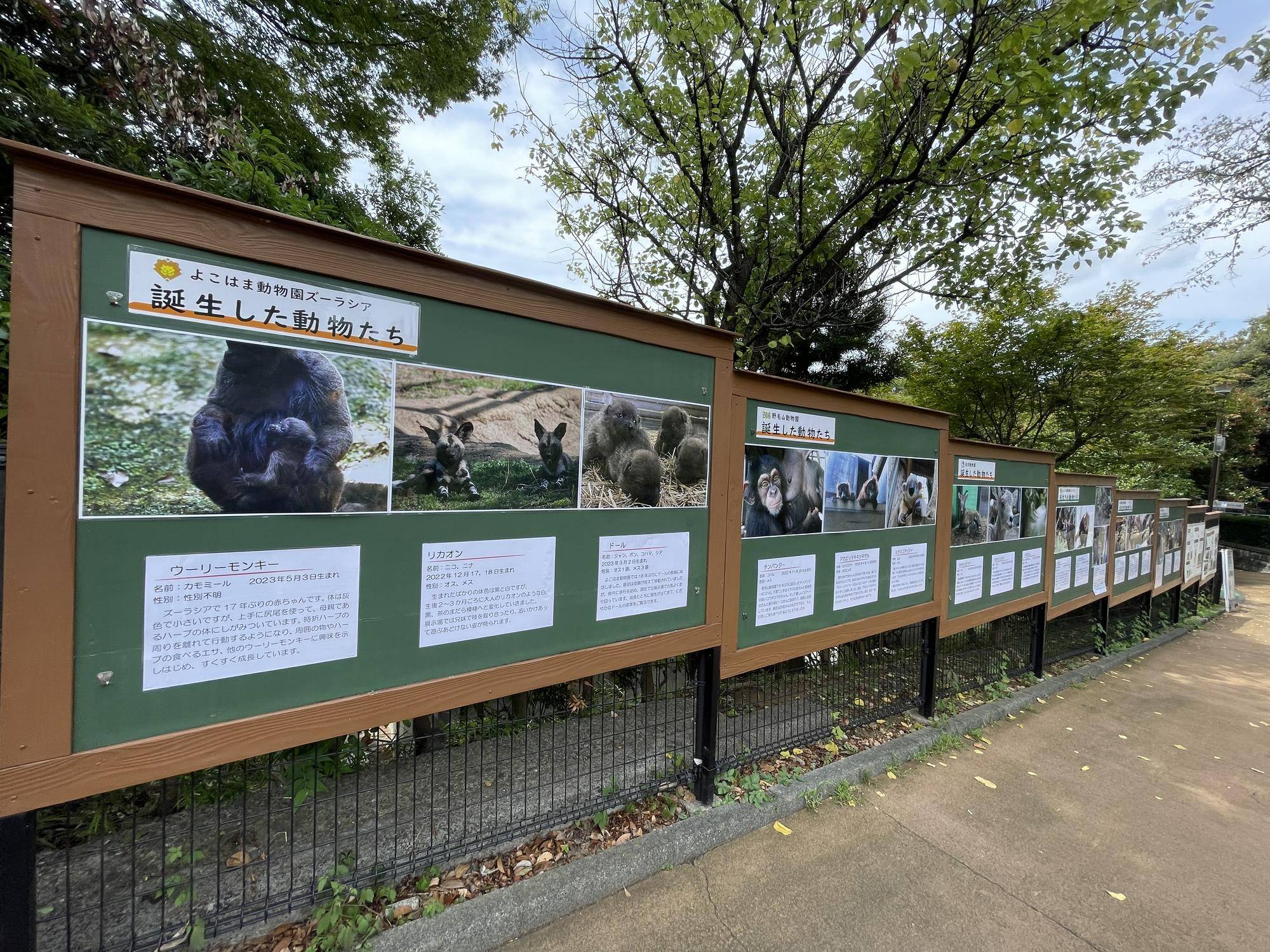 野毛山動物園「動物感謝祭」