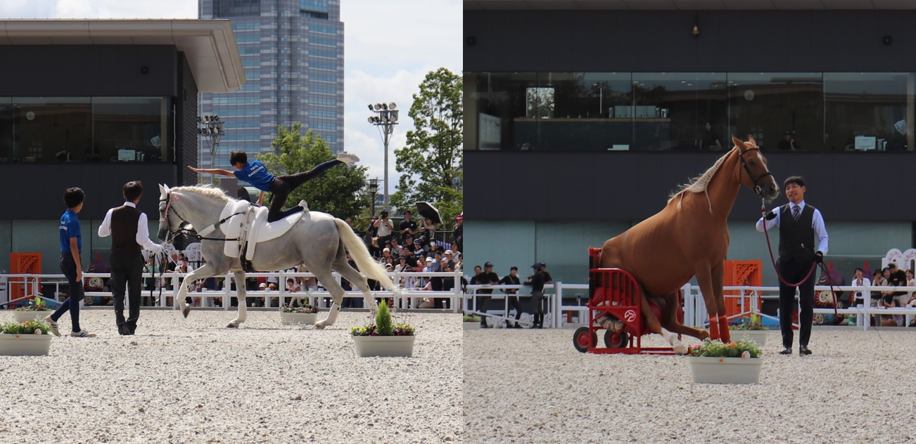 休苑前の特別イベント「根岸競馬記念公苑　グランドフィナーレ」