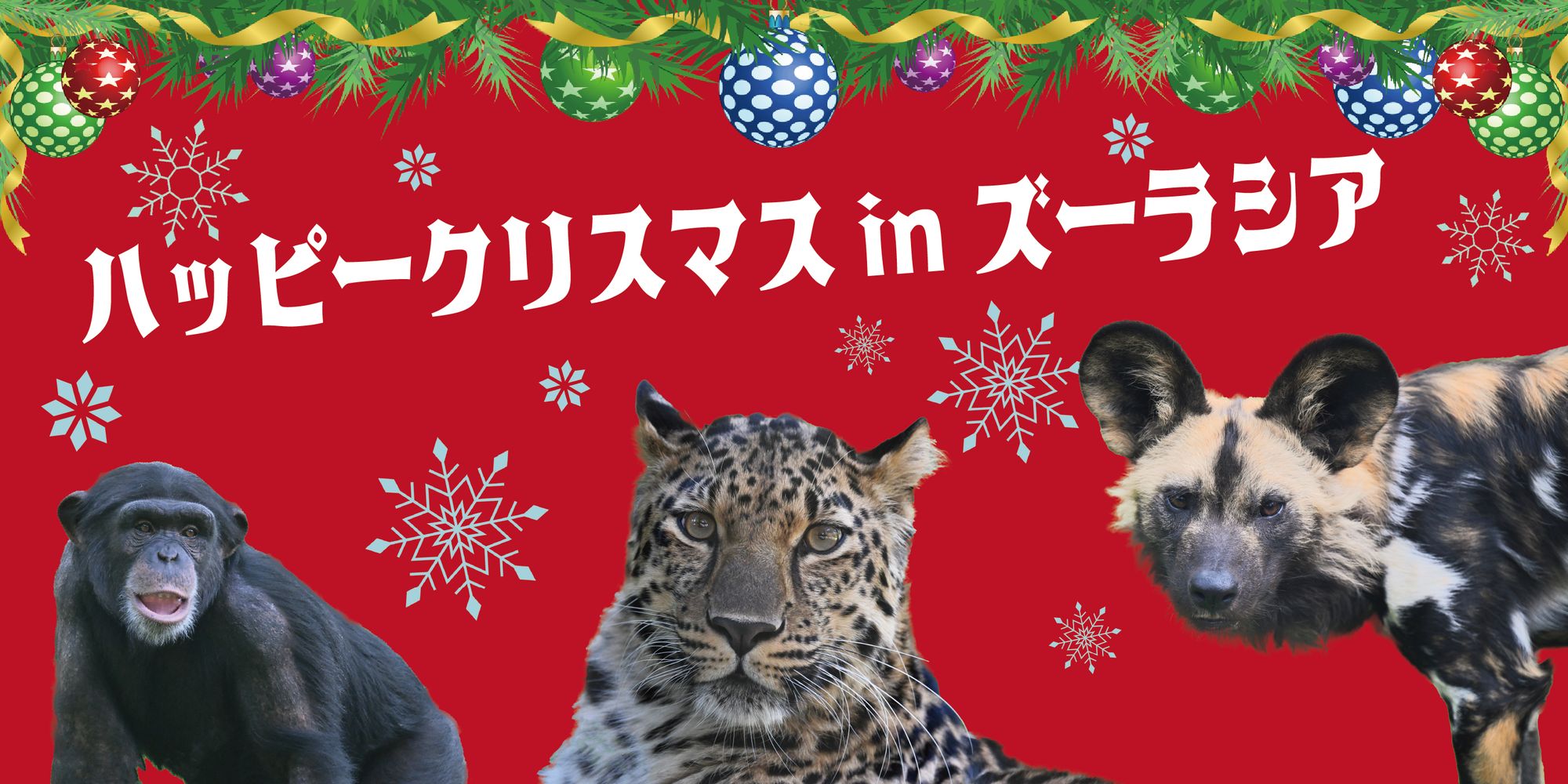 よこはま動物園 ズーラシア「ハッピークリスマスinズーラシア」