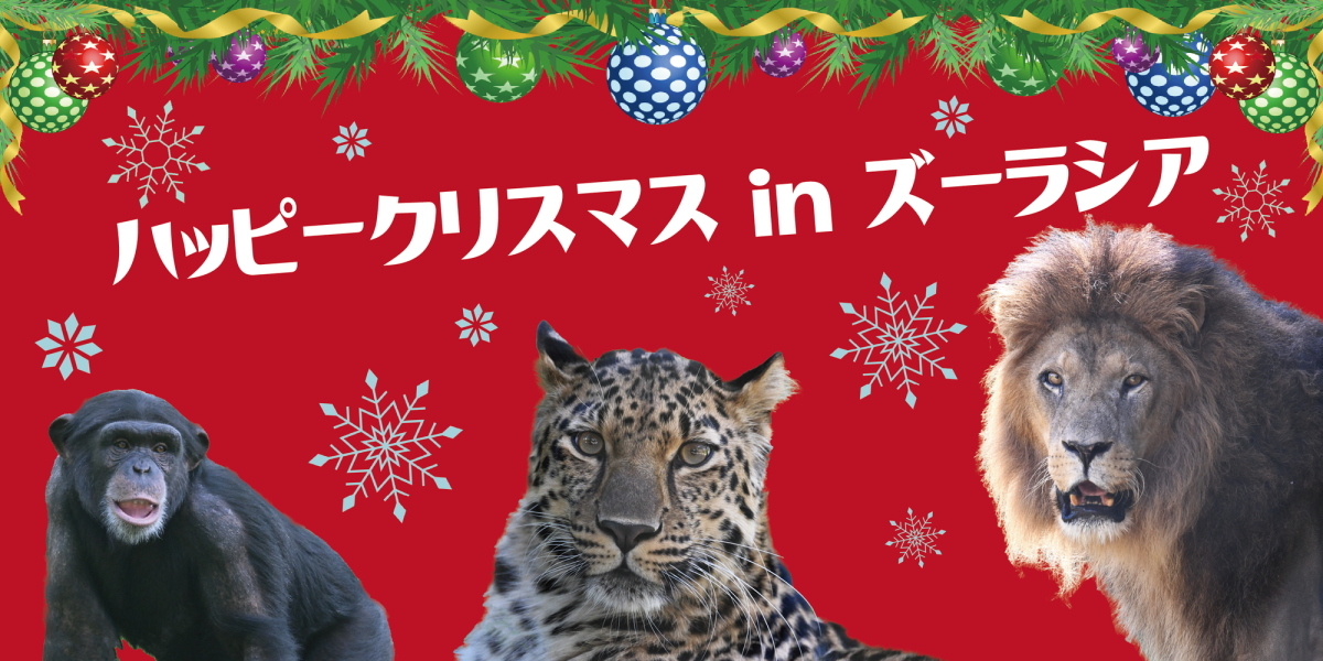 よこはま動物園 ズーラシア「ハッピークリスマスinズーラシア」