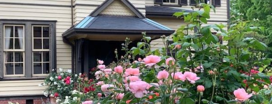 横浜山手西洋館　「山手ローズウィーク」