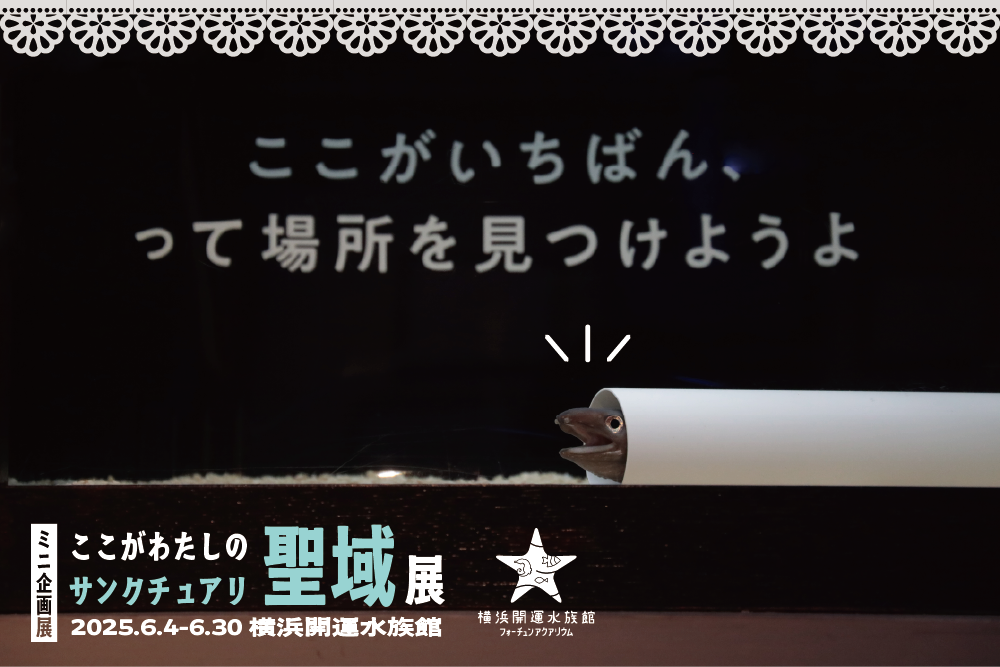 横浜開運水族館 フォーチュンアクアリウム　ミニ企画展「ここがわたしの聖域（サンクチュアリ）」