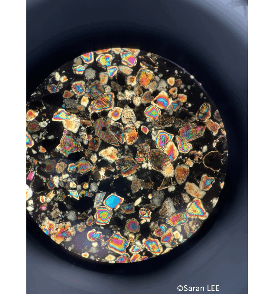 横浜フランス月間2025　「海と科学の幽玄」展