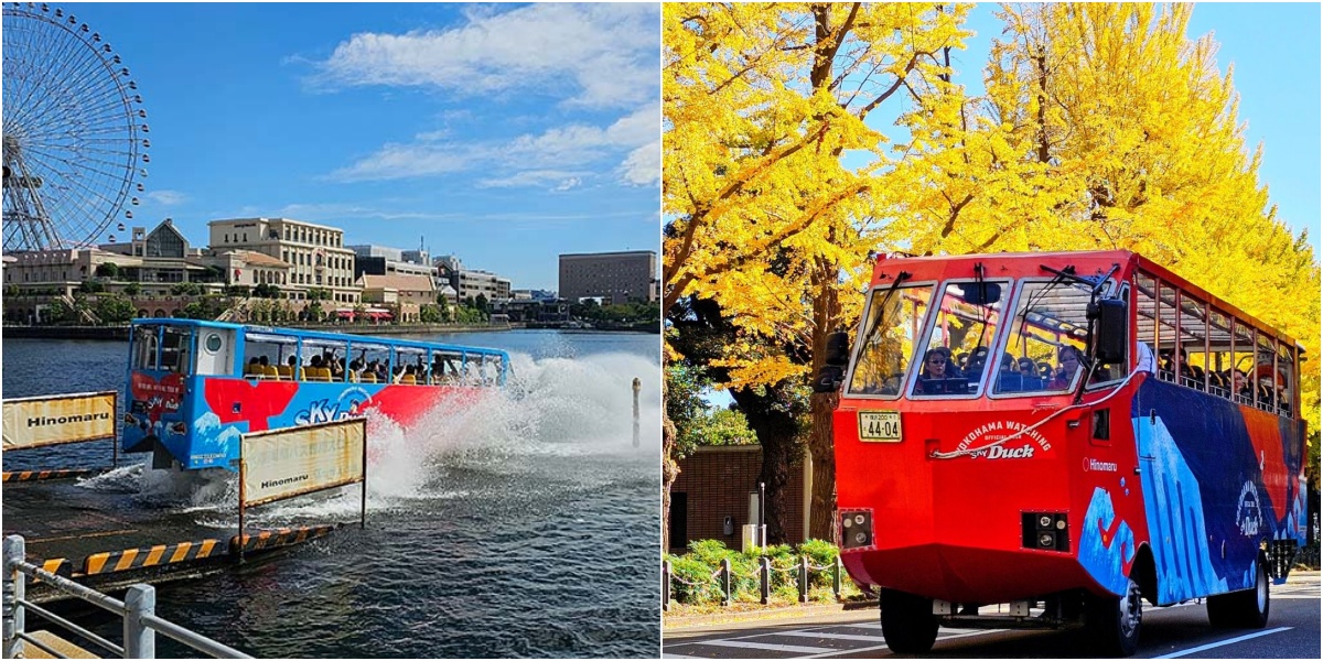水陸両用バス「スカイダック横浜」期間限定「みなとイチョウコース」